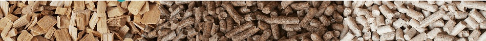 Biomas Image